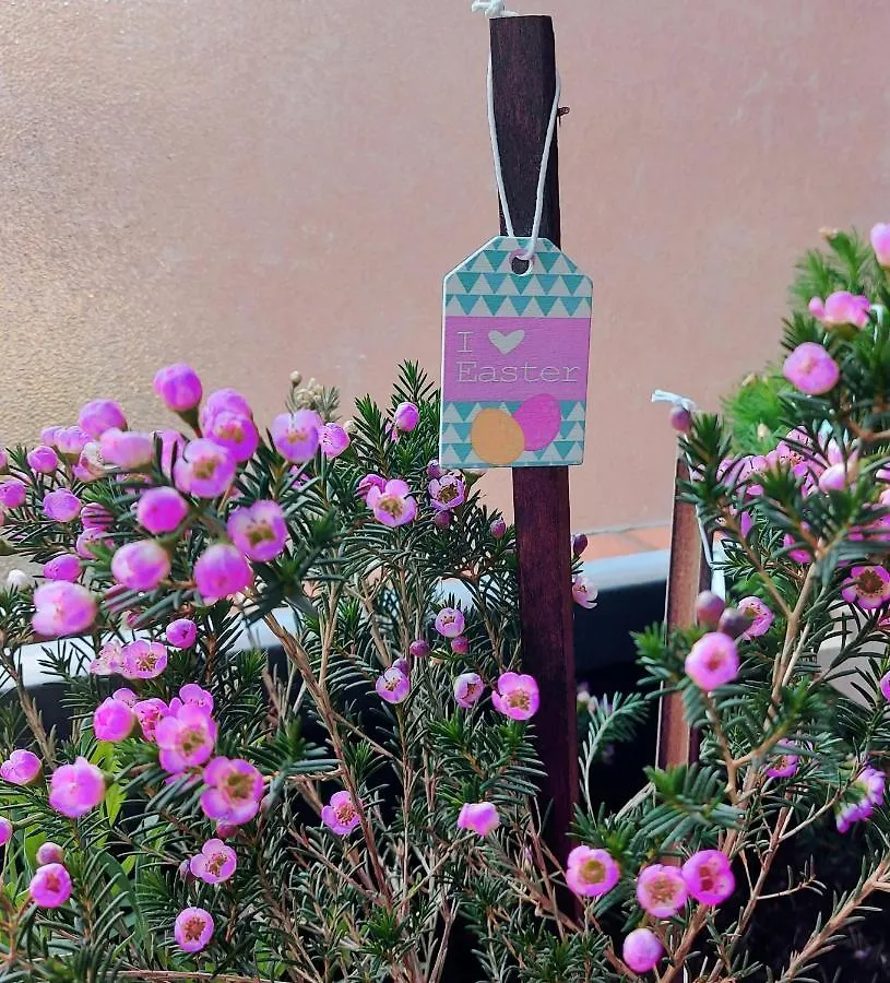 A Casa Di Gemma Hotel Bologna Guest house