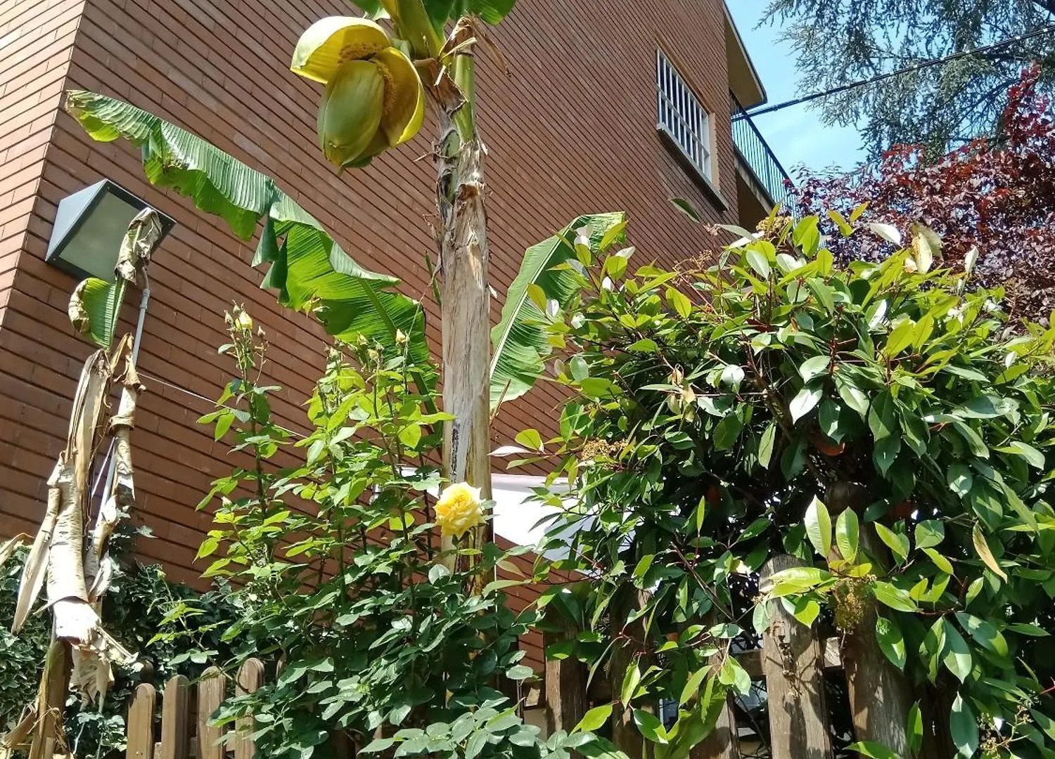 A Casa Di Gemma Hotel Bologna Guest house